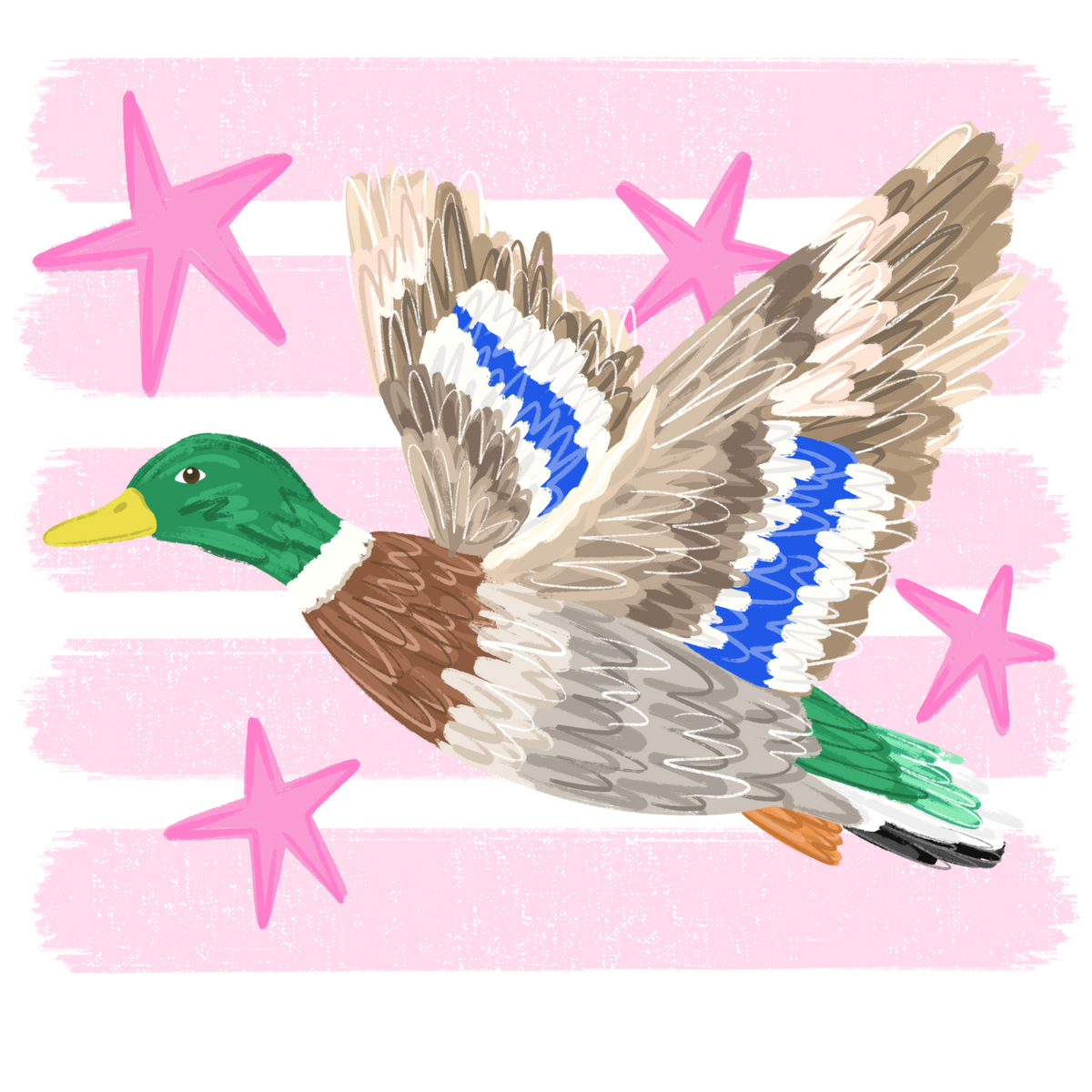 Transfer Stripes Duck Stars