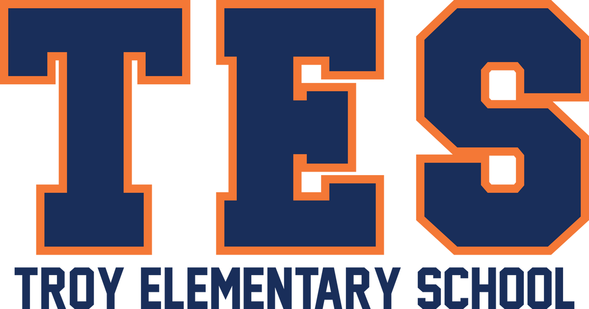 Transfer TES Orange Blue Boy design