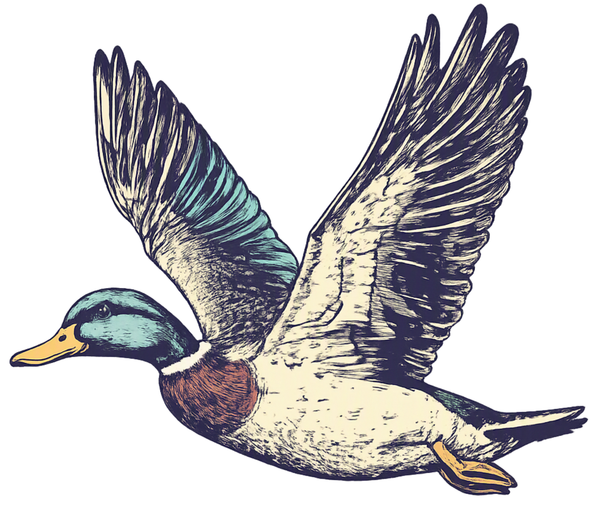 Transfer Duck circle w pocket
