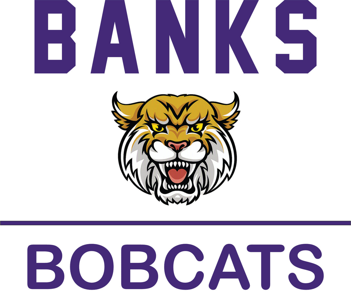 Transfer Banks Line Design