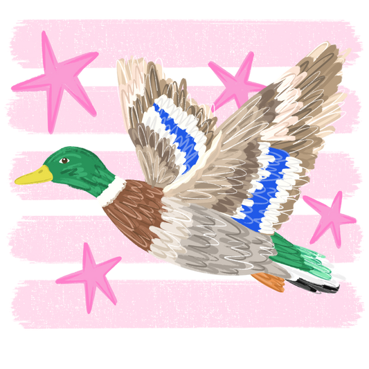 Transfer Stripes Duck Stars