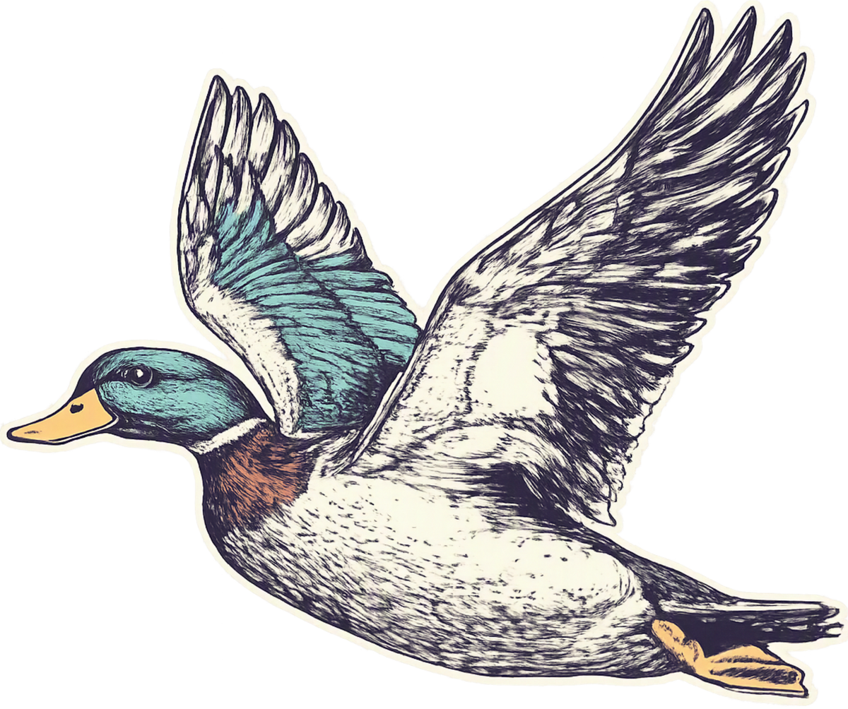 Transfer Duck Patch w pocket