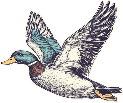 Transfer Duck Patch w pocket