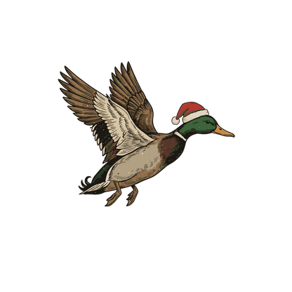 Transfer Deck halls Ducks pocket